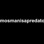 alldaylikes com Review: Social Media Growth Explained